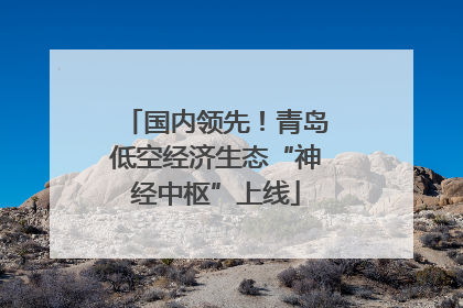 国内领先！青岛低空经济生态“神经中枢”上线