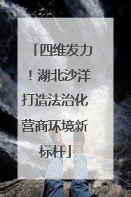 四维发力！湖北沙洋打造法治化营商环境新标杆