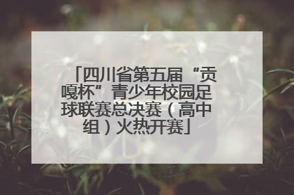 四川省第五届“贡嘎杯”青少年校园足球联赛总决赛（高中组）火热开赛