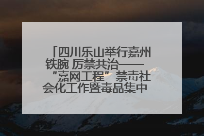 四川乐山举行嘉州铁腕 厉禁共治——“嘉网工程”禁毒社会化工作暨毒品集中销毁启动仪式