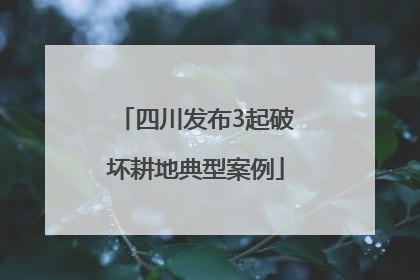 四川发布3起破坏耕地典型案例