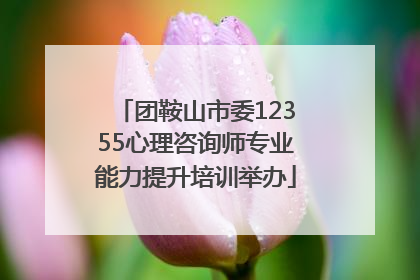 团鞍山市委12355心理咨询师专业能力提升培训举办