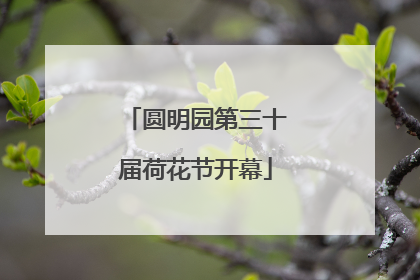 圆明园第三十届荷花节开幕