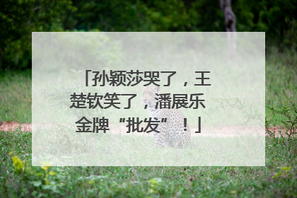孙颖莎哭了，王楚钦笑了，潘展乐金牌“批发”！