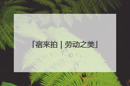 宿来拍｜劳动之美