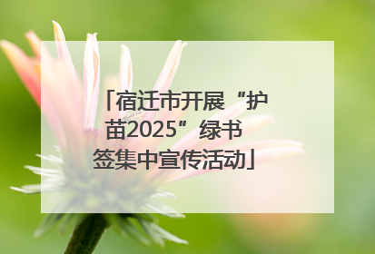 宿迁市开展“护苗2025”绿书签集中宣传活动