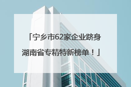 宁乡市62家企业跻身湖南省专精特新榜单！