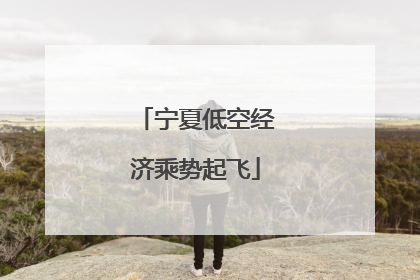 宁夏低空经济乘势起飞