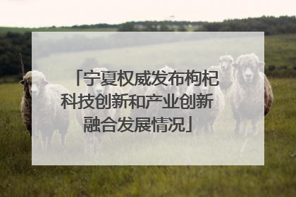 宁夏权威发布枸杞科技创新和产业创新融合发展情况