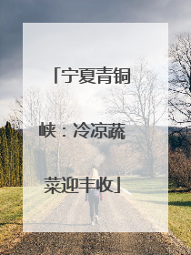 宁夏青铜峡：冷凉蔬菜迎丰收