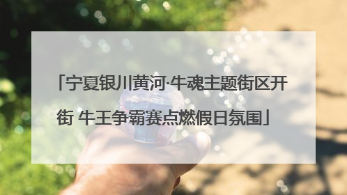 宁夏银川黄河·牛魂主题街区开街 牛王争霸赛点燃假日氛围