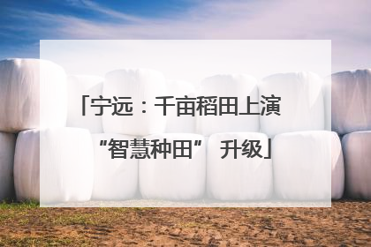 宁远：千亩稻田上演 “智慧种田” 升级