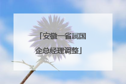 安徽一省属国企总经理调整