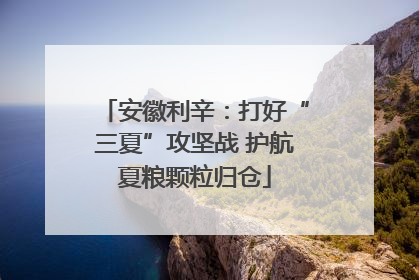 安徽利辛：打好“三夏”攻坚战 护航夏粮颗粒归仓