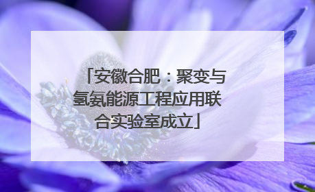 安徽合肥：聚变与氢氨能源工程应用联合实验室成立