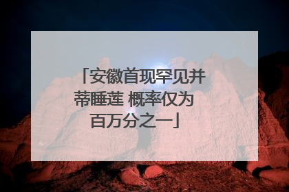 安徽首现罕见并蒂睡莲 概率仅为百万分之一