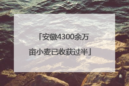 安徽4300余万亩小麦已收获过半