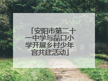 安阳市第二十一中学与磊口小学开展乡村少年宫共建活动