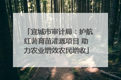 宜城市审计局：护航红薯育苗灌溉项目 助力农业增效农民增收