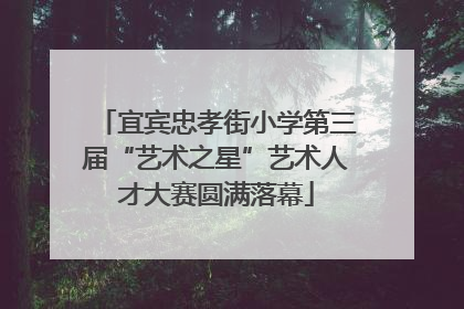 宜宾忠孝街小学第三届“艺术之星”艺术人才大赛圆满落幕