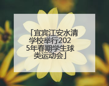 宜宾江安水清学校举行2025年春期学生球类运动会