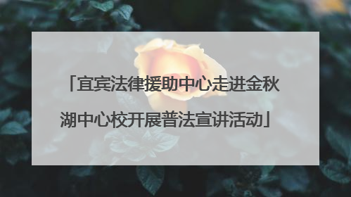 宜宾法律援助中心走进金秋湖中心校开展普法宣讲活动