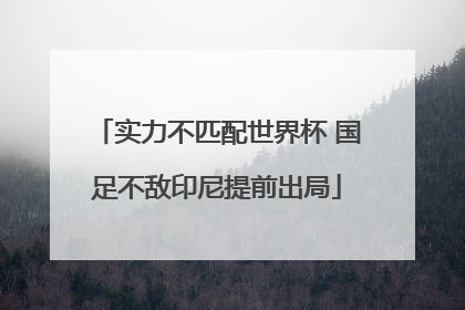 实力不匹配世界杯 国足不敌印尼提前出局