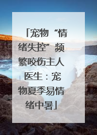 宠物“情绪失控”频繁咬伤主人 医生：宠物夏季易情绪中暑