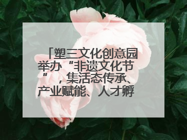 塑三文化创意园举办“非遗文化节”，集活态传承、产业赋能、人才孵化于一体