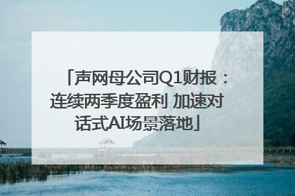 声网母公司Q1财报：连续两季度盈利 加速对话式AI场景落地