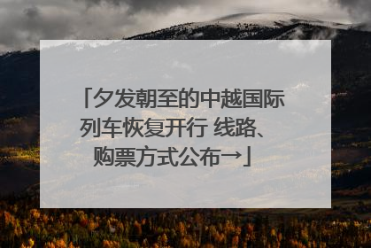 夕发朝至的中越国际列车恢复开行 线路、购票方式公布→