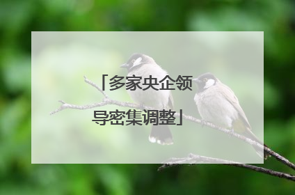 多家央企领导密集调整