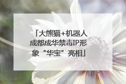 大熊猫+机器人 成都成华禁毒IP形象“华宝”亮相