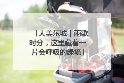 大美东城｜雨歇时分，这里藏着一片会呼吸的绿境