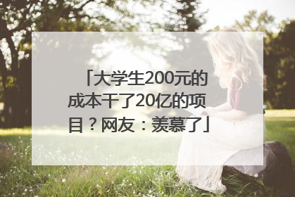 大学生200元的成本干了20亿的项目？网友：羡慕了