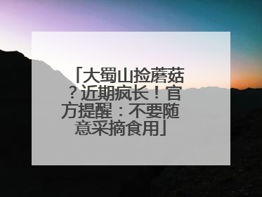大蜀山捡蘑菇？近期疯长！官方提醒：不要随意采摘食用