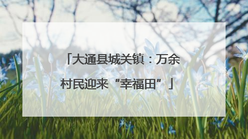 大通县城关镇：万余村民迎来“幸福田”