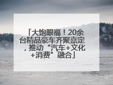 大饱眼福！20余台精品豪车齐聚嘉定，推动“汽车+文化+消费”融合