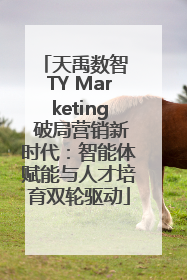 天禹数智 TY Marketing 破局营销新时代：智能体赋能与人才培育双轮驱动