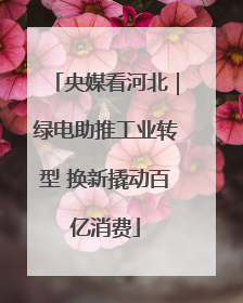 央媒看河北｜绿电助推工业转型 换新撬动百亿消费
