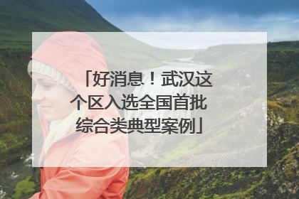 好消息！武汉这个区入选全国首批综合类典型案例