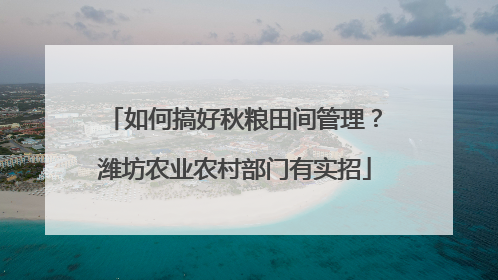 如何搞好秋粮田间管理？潍坊农业农村部门有实招