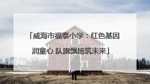 威海市福泰小学：红色基因润童心 队旗飘扬筑未来
