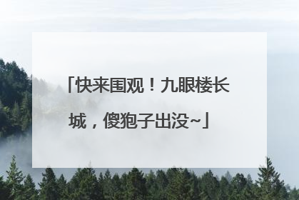 快来围观！九眼楼长城，傻狍子出没~