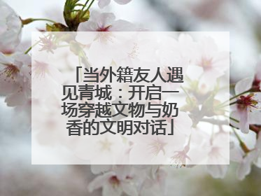 当外籍友人遇见青城：开启一场穿越文物与奶香的文明对话