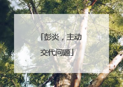 彭炎，主动交代问题