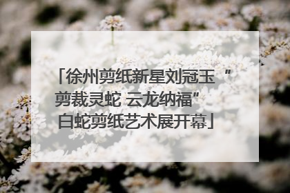 徐州剪纸新星刘冠玉“剪裁灵蛇 云龙纳福” 白蛇剪纸艺术展开幕