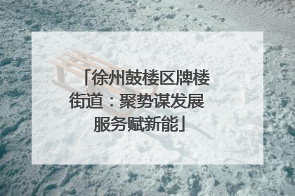 徐州鼓楼区牌楼街道：聚势谋发展 服务赋新能