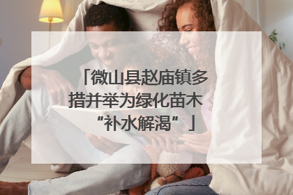 微山县赵庙镇多措并举为绿化苗木“补水解渴”