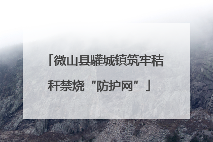 微山县驩城镇筑牢秸秆禁烧“防护网”